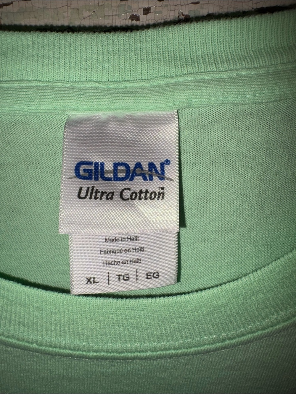 Gildan Mint Green Cow & Sunflower Graphic Tee - Picture 4 of 4
